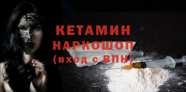 крисы Новодвинск