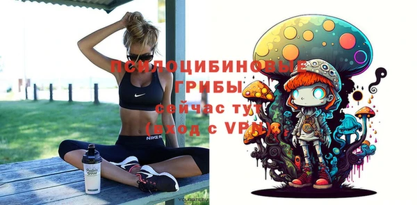 крисы Новодвинск