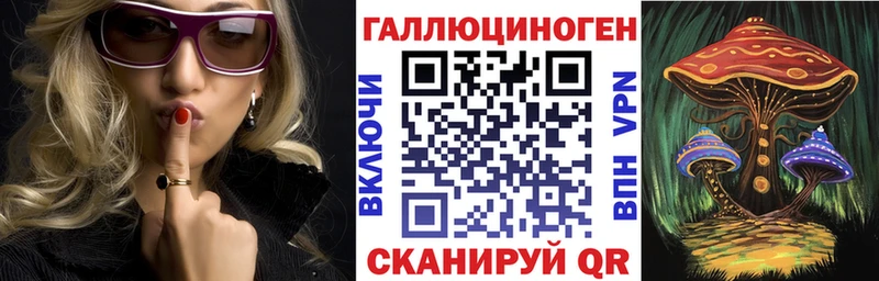 блэк спрут tor  Великий Новгород  Галлюциногенные грибы Psilocybe  где купить наркоту 