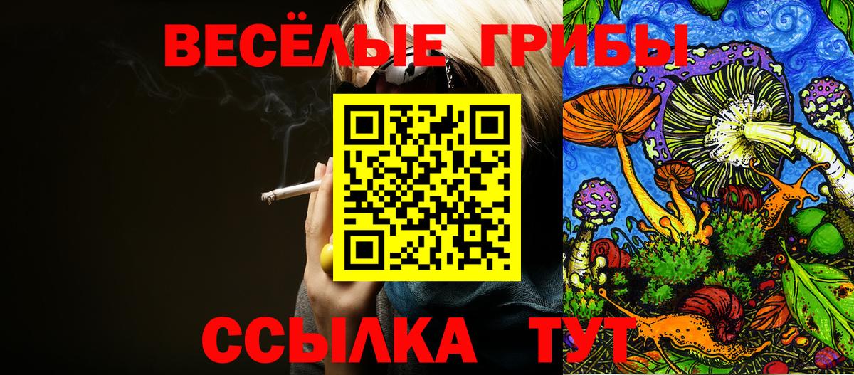 Галлюциногенные грибы мицелий Великий Новгород